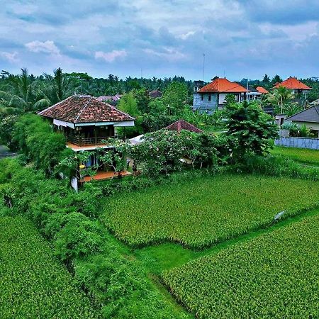 White Villa Ubud エクステリア 写真