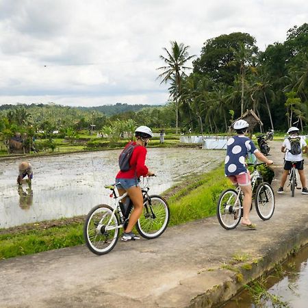 White Villa Ubud エクステリア 写真