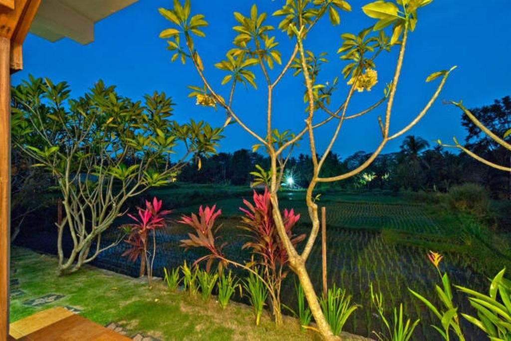 White Villa Ubud エクステリア 写真
