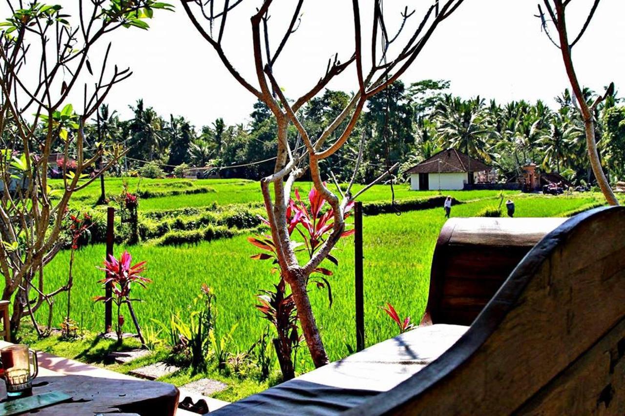 White Villa Ubud エクステリア 写真
