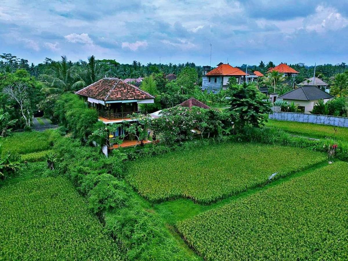 White Villa Ubud エクステリア 写真