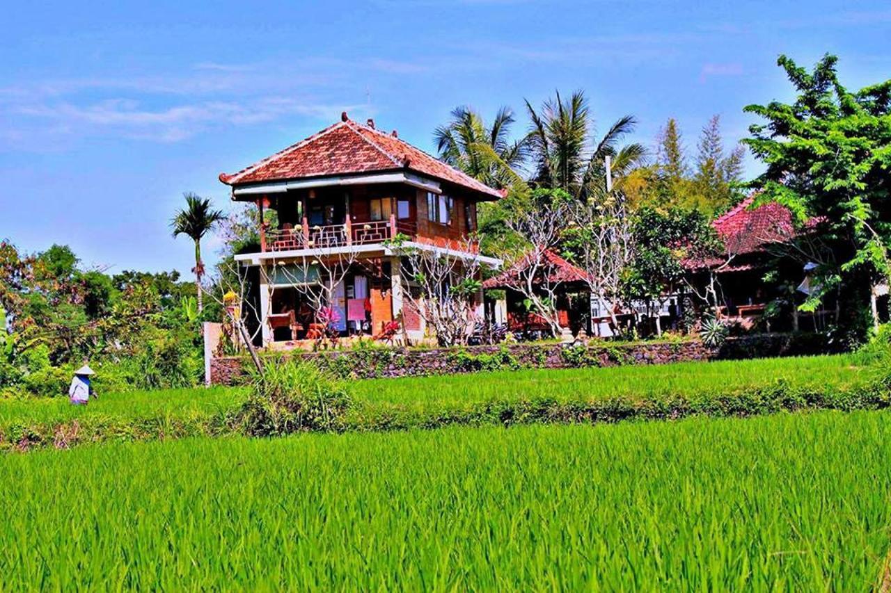 White Villa Ubud エクステリア 写真