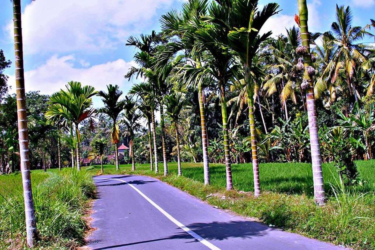 White Villa Ubud エクステリア 写真