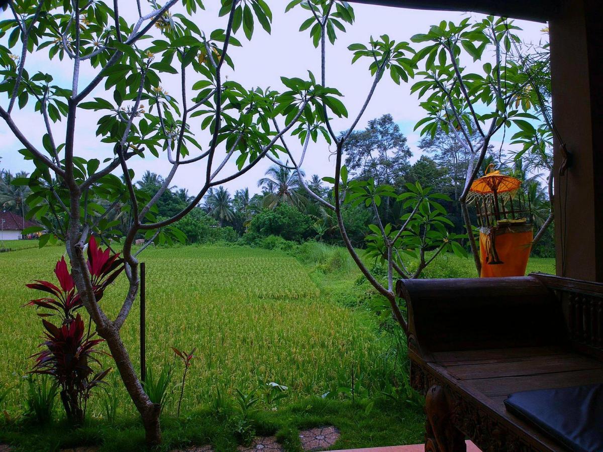 White Villa Ubud エクステリア 写真