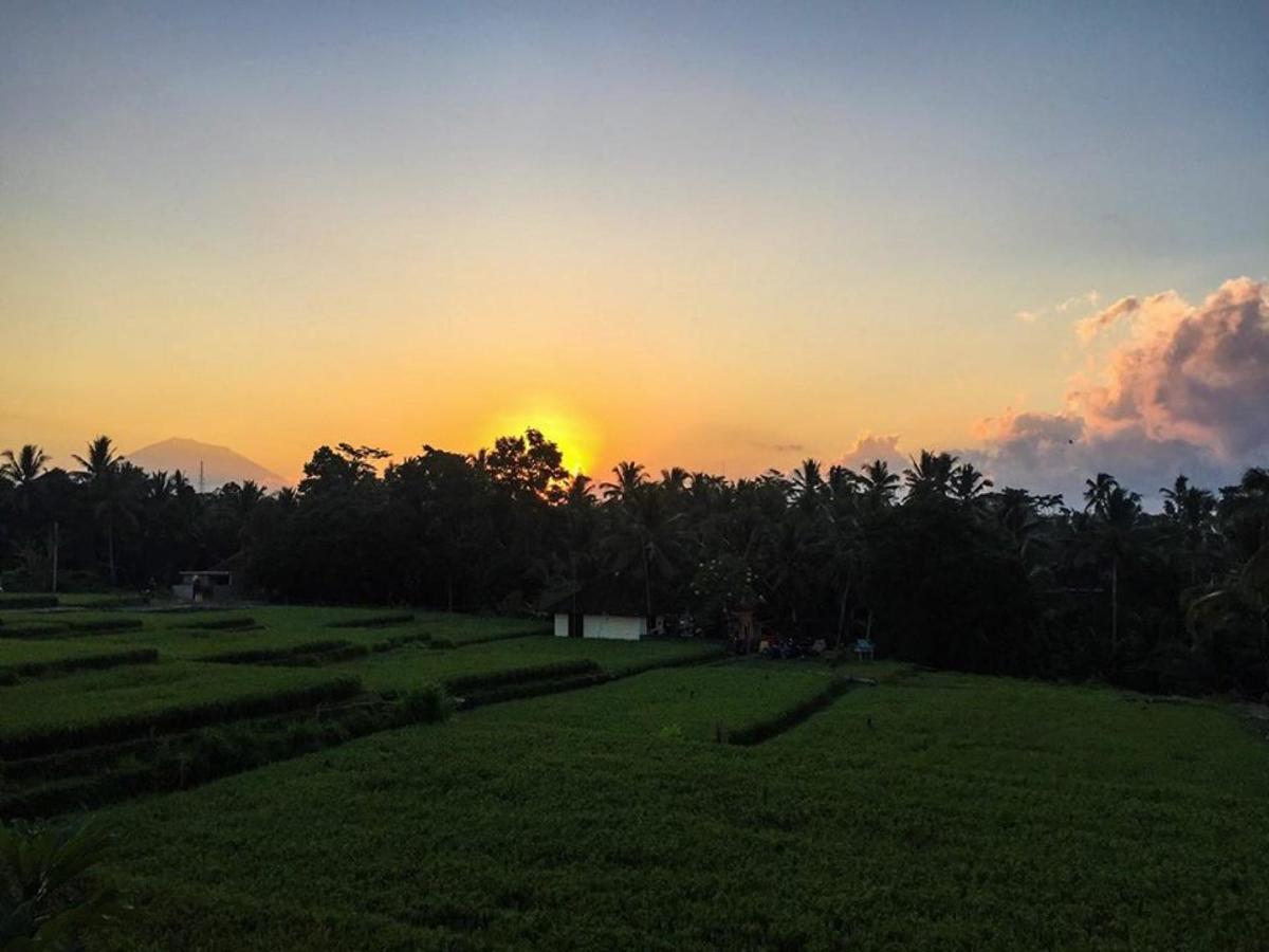 White Villa Ubud エクステリア 写真